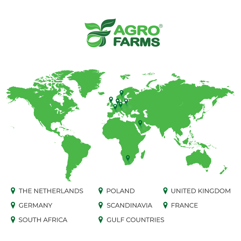 AGRO%20FARMS